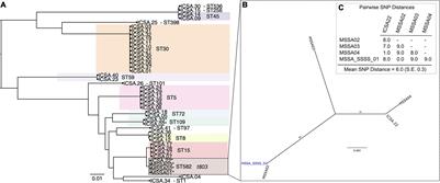 Genomic Epidemiology and Global Population Structure of Exfoliative Toxin A-Producing Staphylococcus aureus Strains Associated With Staphylococcal Scalded Skin Syndrome